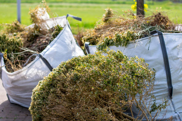 Best Electronics and E-Waste Disposal  in Hawarden, IA